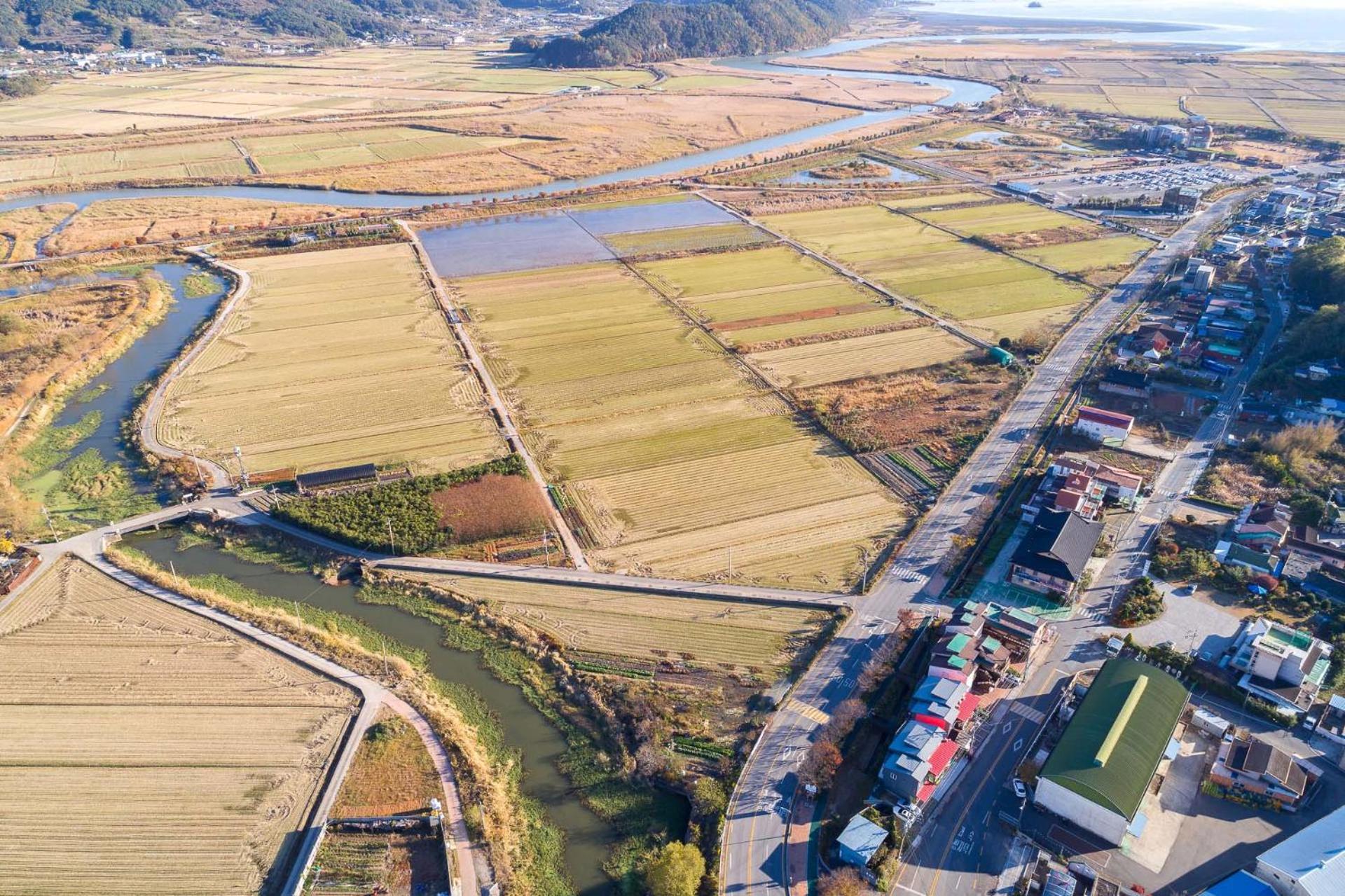Suncheonbay Reed Field Pension Exterior photo